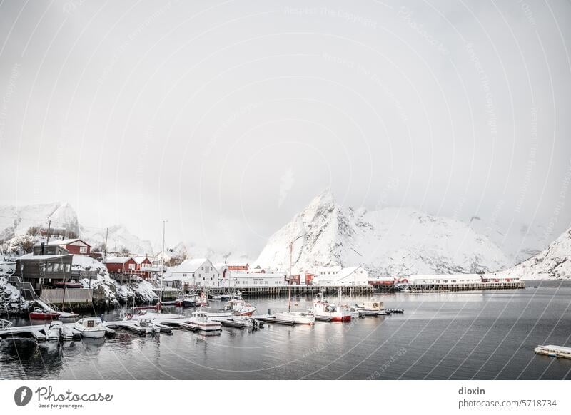 Lofoten - Hamnøy Lofoten Inseln Norwegen Norwegenurlaub Meer Meeresufer Atlantik Nordatlantik Polarmeer polar Polarkreis Küste Schnee Landschaft Natur Felsen