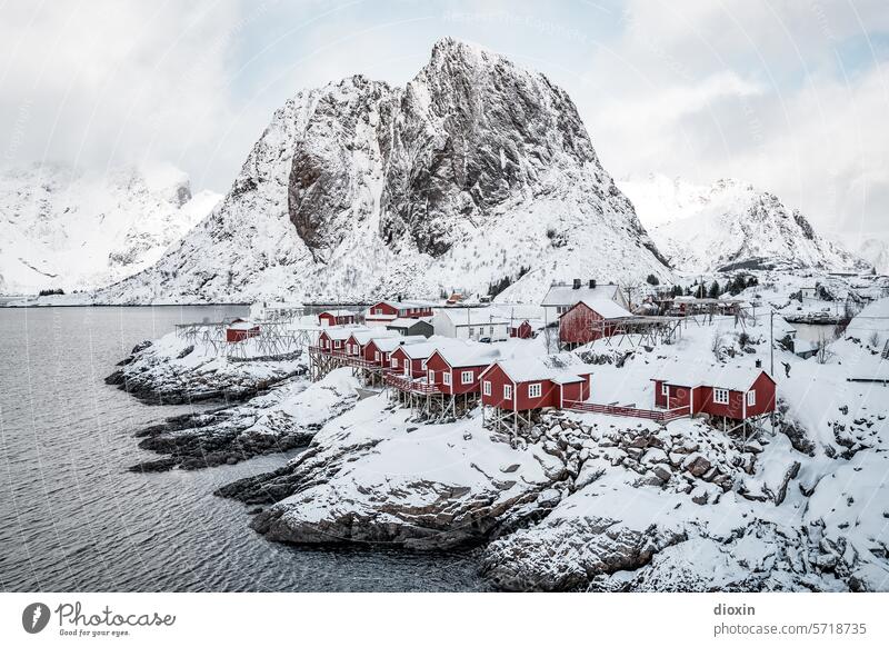 Lofoten - Hamnøy Lofoten Inseln Norwegen Norwegenurlaub Meer Meeresufer Atlantik Nordatlantik Polarmeer polar Polarkreis Küste Schnee Landschaft Natur Felsen