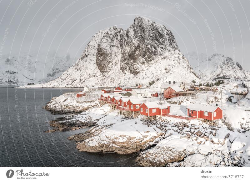 Lofoten- Hamnøy Lofoten Inseln Norwegen Norwegenurlaub Meer Meeresufer Atlantik Nordatlantik Polarmeer polar Polarkreis Küste Schnee Landschaft Natur Felsen