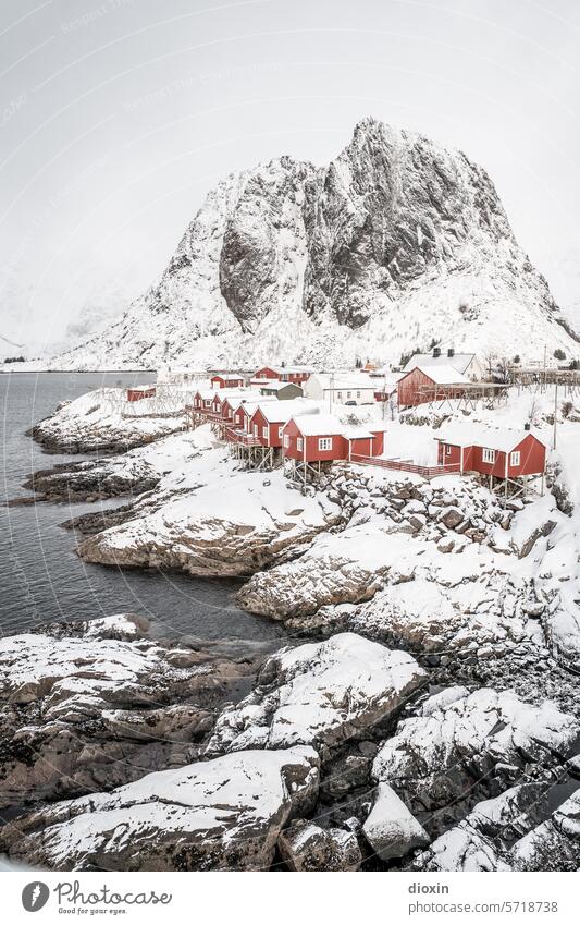 Lofoten - Hamnøy Lofoten Inseln Norwegen Norwegenurlaub Meer Meeresufer Atlantik Nordatlantik Polarmeer polar Polarkreis Küste Schnee Landschaft Natur Felsen