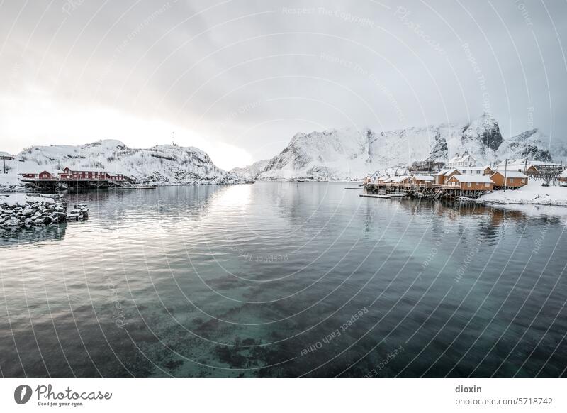 Lofoten Lofoten Inseln Norwegen Norwegenurlaub Meer Meeresufer Atlantik Nordatlantik Polarmeer polar Polarkreis Küste Schnee Landschaft Natur Felsen