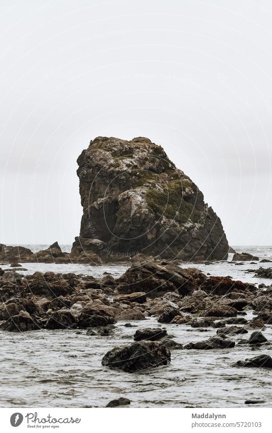 Ein Felsen im Pazifischen Ozean 🌊 Meer Atlantik Wellen Sommer Ferien & Urlaub & Reisen Außenaufnahme Strand Sandstrand Schönes Wetter Tourismus Erholung Natur