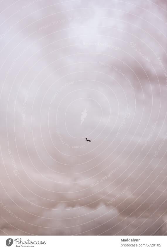 Flugzeug in den rosa Wolken Ebene Himmel wolkig Fluggerät malerisch Landschaft Natur Fliege reisen Luftverkehr Atmosphäre Verkehr Transport hoch Hintergrund