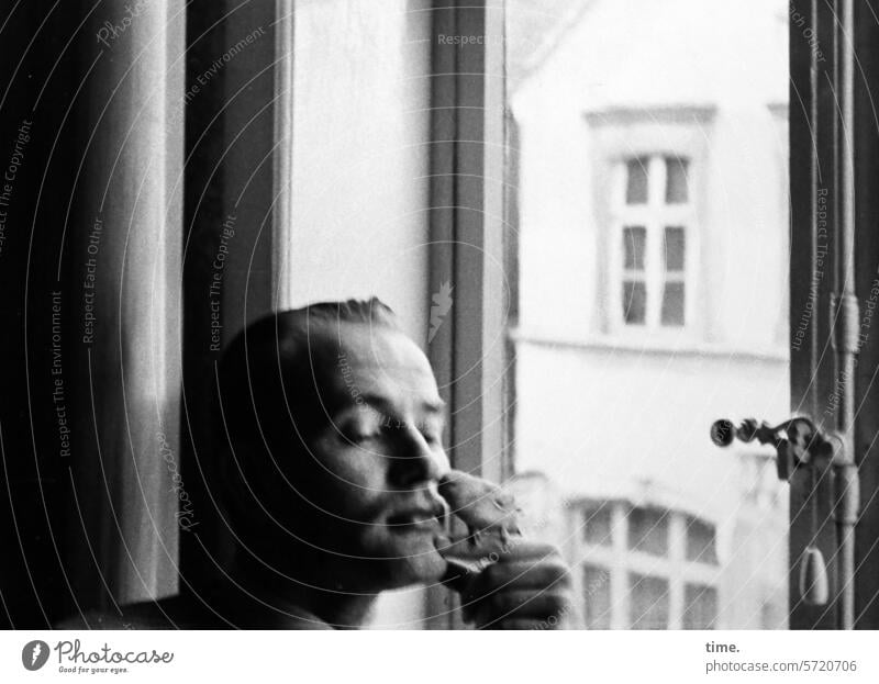 Mann am Fenster mit Sittich Fensterbank Porträt freundlich wohnen urban Stadt Wohnung sitzen Ausblick Architektur Vogel Tier Hand halten konzentration kosen