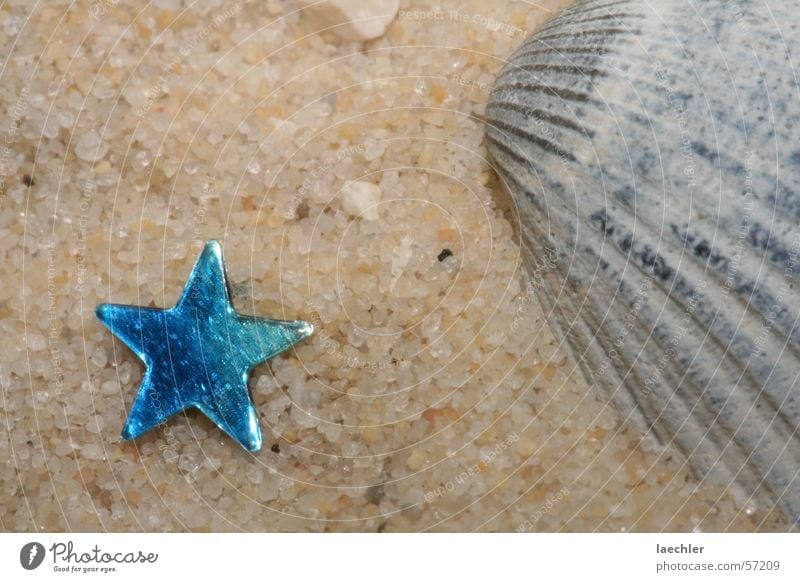 Strand Muschel Sandkorn Ferien & Urlaub & Reisen Stern (Symbol)