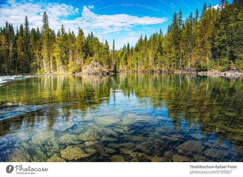 Klarer See bei dem Man die Steine sieht klares Wasser Wald wälder Natur Landschaft Außenaufnahme Ferien & Urlaub & Reisen Berge u. Gebirge Sommer Farbfoto