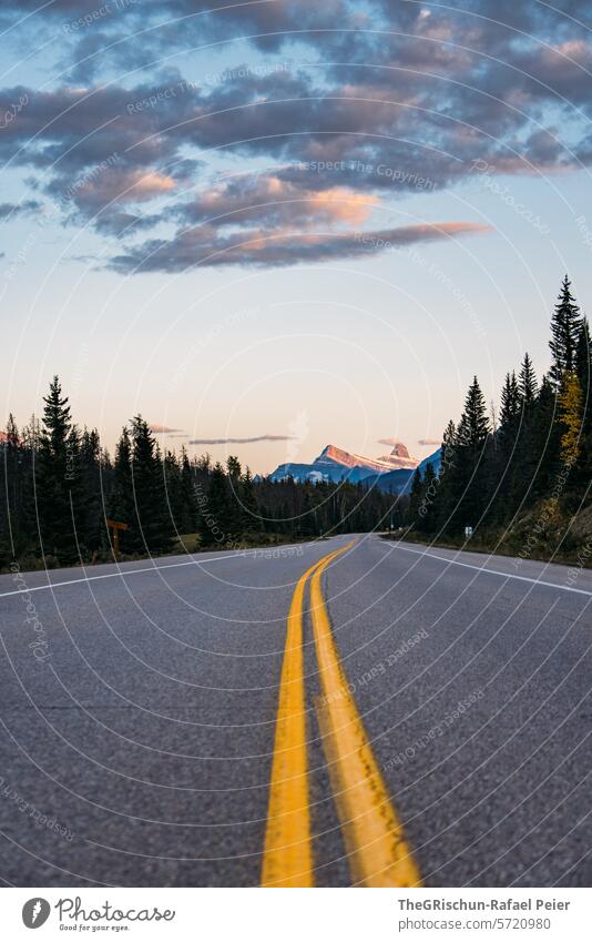 Mittelstreife von einer Strasse mit Berg im Hintergrund Kanada Icefield Parkway Jasper National Park Straße Mittelstreifen Bäume Berge u. Gebirge