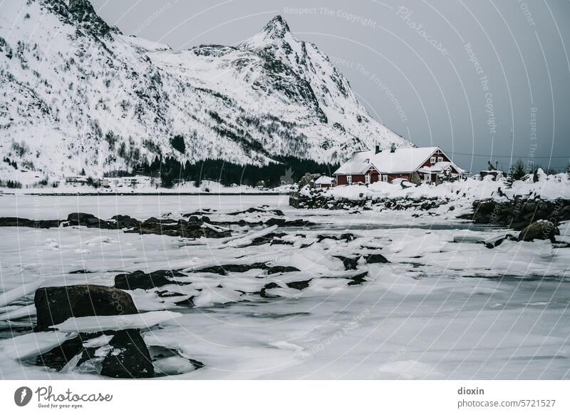 Lofoten Lofoten Inseln Norwegen Norwegenurlaub Meer Meeresufer Atlantik Nordatlantik Polarmeer polar Polarkreis Küste Schnee Landschaft Natur Felsen