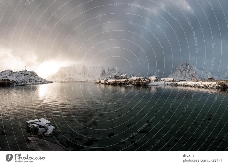 Lofoten - Sakrisøy Lofoten Inseln Norwegen Norwegenurlaub Meer Meeresufer Atlantik Nordatlantik Polarmeer polar Polarkreis Küste Schnee Landschaft Natur Felsen