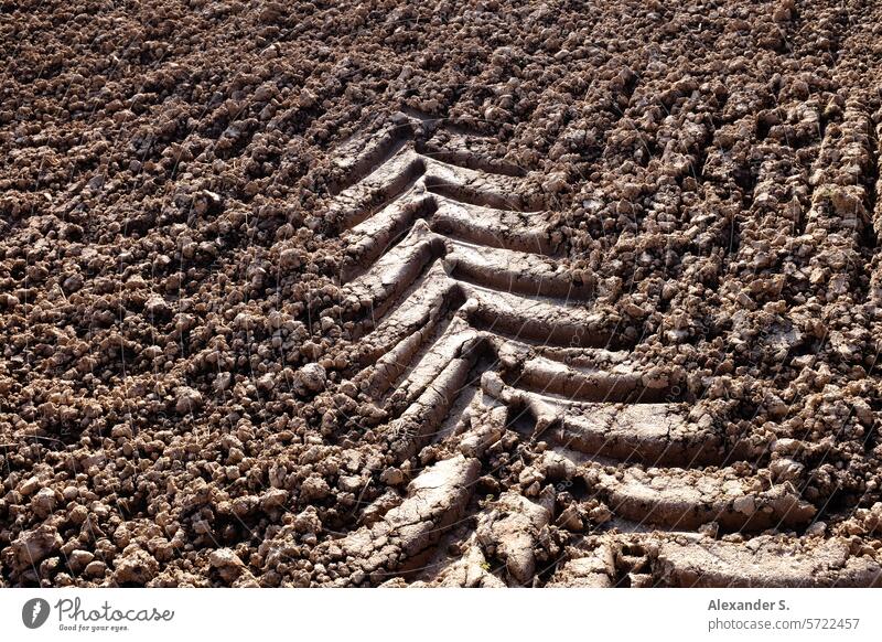 Traktorspur im Feld Spur Reifenspur Reifenprofil Acker Ackerbau Landwirtschaft Erde Boden Abdruck abstrakt Abstraktion Pfeil Spuren Reifenspuren