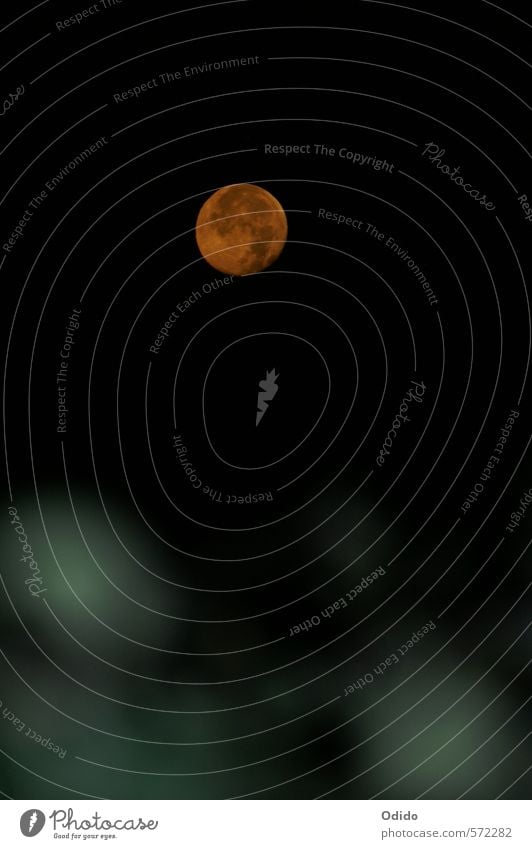 Mondaufgang Natur Landschaft Himmel Wolkenloser Himmel Nachthimmel Vollmond Romantik Aufgang Korfu Mondschein Farbfoto Außenaufnahme Menschenleer