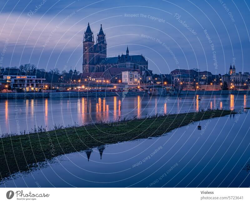 Magdeburg by night III Elbe Nacht Dämmerung Lichter gotischer Dom Wahrzeichen Magdeburger Dom blau Spiegelung