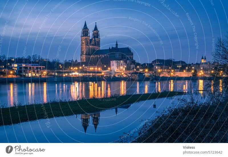 Magdeburg by night Elbe Nacht Dämmerung Lichter gotischer Dom Wahrzeichen Magdeburger Dom blau Spiegelung