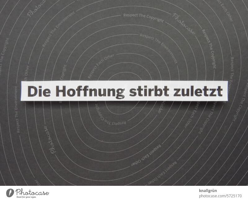 Die Hoffnung stirbt zuletzt Durchhaltevermögen Text Sprichwort positiv weitermachen Farbfoto Buchstaben Schriftzeichen Menschenleer Nahaufnahme Satz Mitteilung