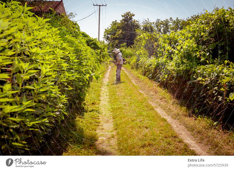 Landwirt in Schutzkleidung mäht Gras im Garten mit einem manuellen Rasentrimmer Hinterhof Imker zwischen Klinge Blütezeit botanisch Schermaschine Ausschnitt