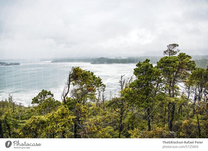 Wild verwachsener Wald mit Meer im Hintergrund wild cox bay Vancouver Island Bäume Baum meer Gischt Wellen Kanada British Columbia Nordamerika Wasser Küste