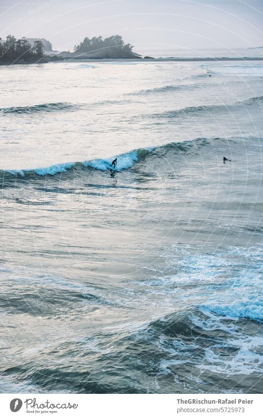 Surfer sind im Wasser und versuchen wild cox bay Vancouver Island Bäume Baum meer Gischt Wellen Kanada British Columbia Meer Nordamerika Küste Natur Farbfoto