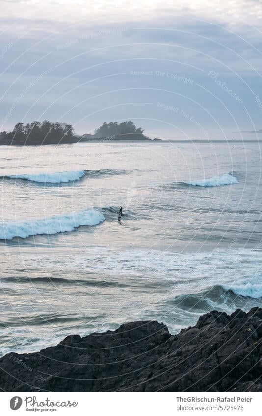 Surfer ist beim Eindunkeln noch am Surfen wild cox bay Vancouver Island Bäume Baum meer Gischt Wellen Kanada British Columbia Meer Nordamerika Wasser Küste