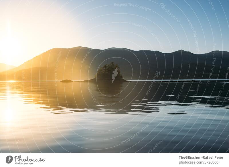 Sonnenuntergang  vor kleiner Insel im Meer Vancouver Island Wasser salzwasser Baum Bäume Sonnenlicht Himmel ruhig Stimmung Landschaft Natur Außenaufnahme