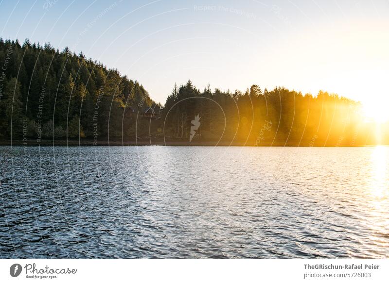 Sonnenuntergang  vor kleiner Insel im Meer und Haus im Hintergrund Vancouver Island Wasser salzwasser Baum Bäume Sonnenlicht Himmel ruhig Stimmung Landschaft