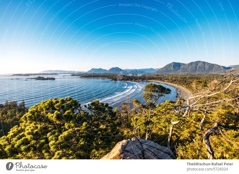 Wild verwachsener Wald mit Meer im Hintergrund wild cox bay Vancouver Island Bäume Baum meer Gischt Wellen Kanada British Columbia Nordamerika Wasser Küste