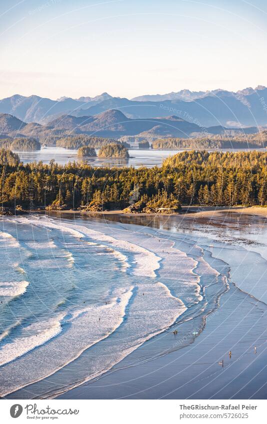 Bucht mit kleinen Inseln im Hintergrund - Viele Surfer sind im Wasser wild verwachsen cox bay Vancouver Island Bäume Baum meer Gischt Wellen Kanada