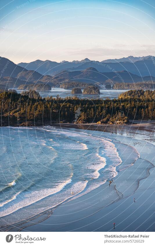 Bucht mit kleinen Inseln im Hintergrund - Viele Surfer sind im Wasser wild verwachsen cox bay Vancouver Island Bäume Baum meer Gischt Wellen Kanada