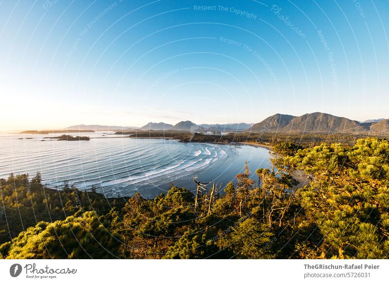 Bucht mit kleinen Inseln im Hintergrund - Viele Surfer sind im Wasser wild verwachsen cox bay Vancouver Island Bäume Baum meer Gischt Wellen Kanada