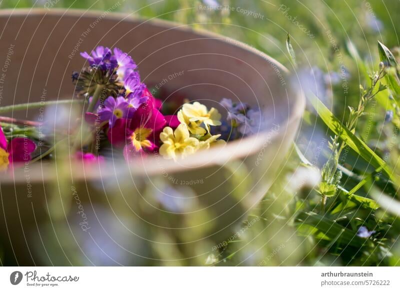 Frisch gepflückte Primeln und Wiesenschaumkraut in einer Holzschale in der Wiese im Garten blumen essen natur natürlich Frühling Tageslicht Blütezeit blühen