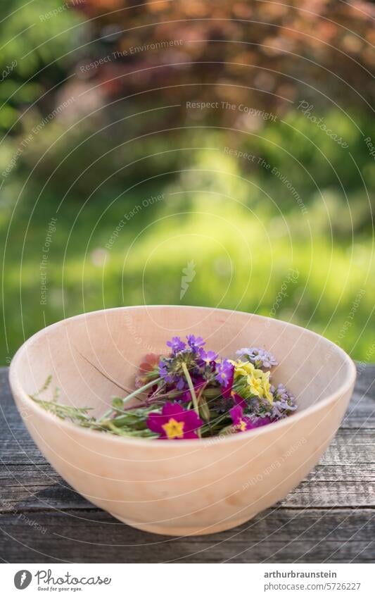 Frisch gepflückte Primeln und Wiesenschaumkraut in einer Holzschale aus dem Garten im Frühling blumen blüten essen mühltau natur Tageslicht Blütezeit blühen