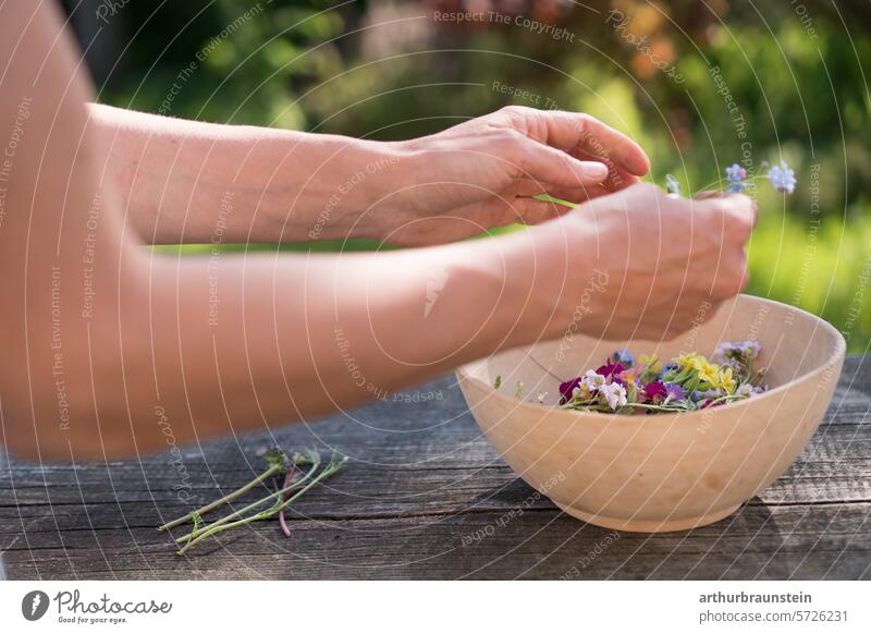 Junge Frau pflückt Wiesenblumen Primeln und Wiesenschaumkraut im Garten zum Kochen mit Blüten im Frühling blüten essen natur Natur blühen Blütezeit Tageslicht