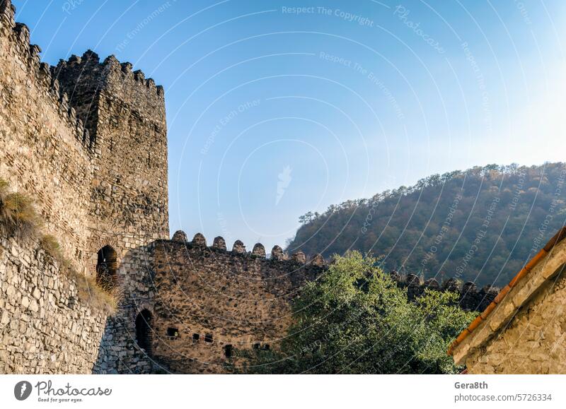 Turm und Mauern der alten Festung vor einem Hintergrund von Bergen mit Wald Ananuri Kaukasus Georgien Antiquität Herbst blau Gebäude Tag Gras grün historisch