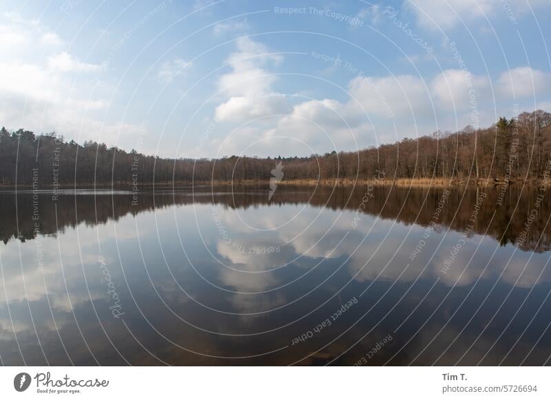 ein kleiner See in Brandenburg in dem sich der Himmel spiegelt Winter Farbfoto Reflexion & Spiegelung Wasser Natur Außenaufnahme ruhig Seeufer Landschaft