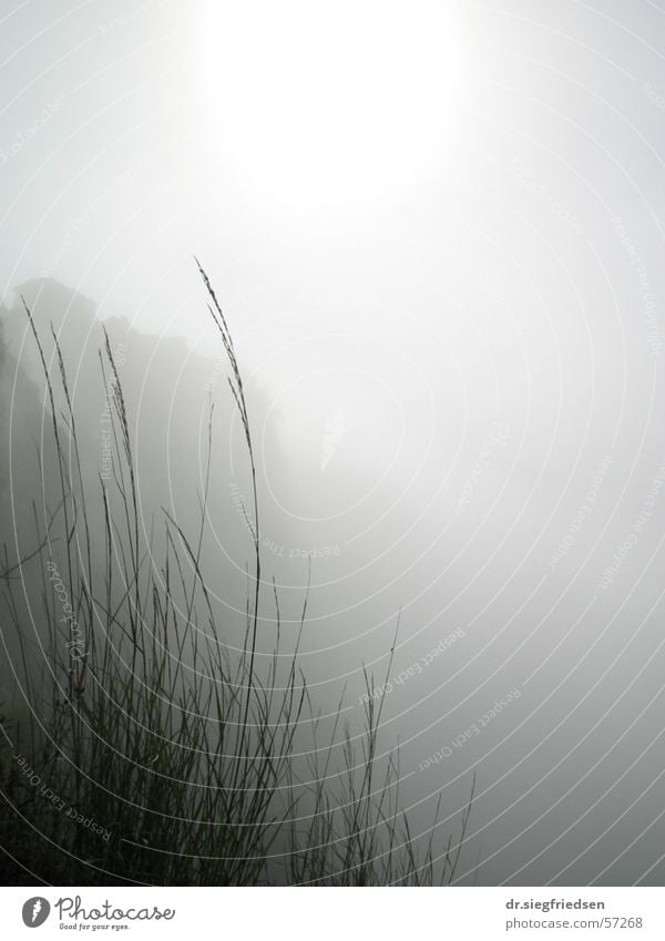 Clouds in caldera of Mount Batur, Bali Caldera Natur Nebel Wolken Indonesien Berghang Halm fog clouds indonesia mountain volcano foggy grass morning sun