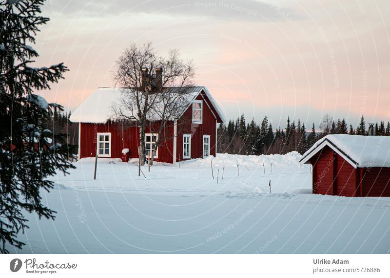 Lappland | Morgenröte Schweden Europa Solberget Holzhaus Schnee Winter Urlaub Natur Außenaufnahme kalt Ferien & Urlaub & Reisen Skandinavien Winterurlaub