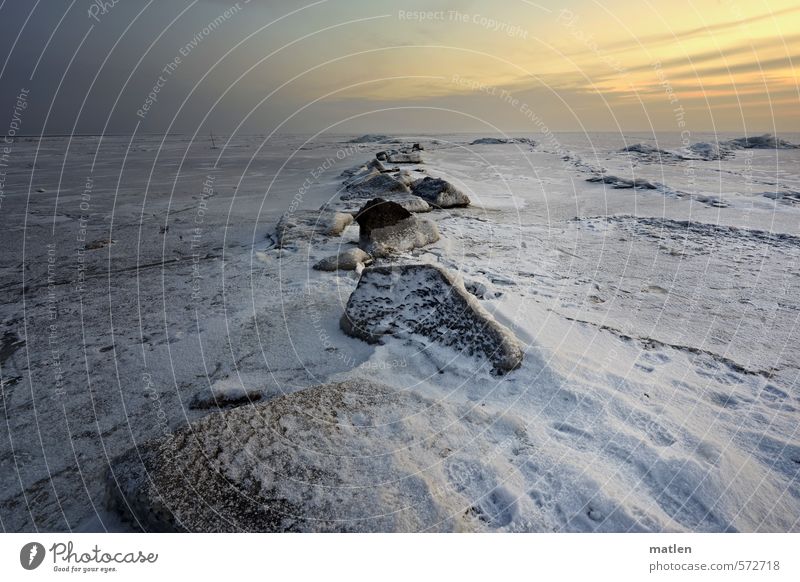 artic desert Natur Landschaft Urelemente Himmel Wolken Horizont Sonnenaufgang Sonnenuntergang Winter Wetter Eis Frost Schnee Küste Meer blau grau weiß frieren