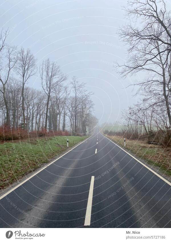 Achtsamkeit I bei leichtem Nebel Landstraße Verkehrswege Fahrbahn Straße außerorts zweispurig Straßenrand Straßenverkehr Wege & Pfade Asphalt Autofahren