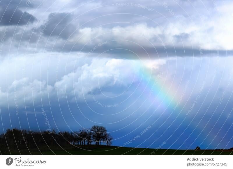 Subtiler Regenbogen über einer ländlichen Landschaft Himmel Cloud Natur baumlinie Horizont Unwetter Windstille Wetter im Freien dramatisch blau subtil Andeutung