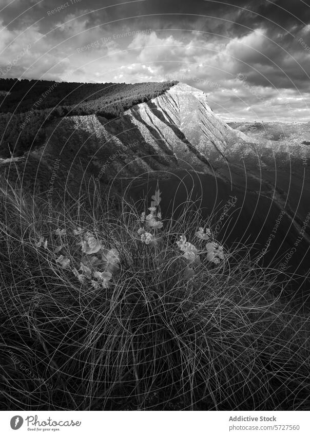 Dramatische monochrome Landschaft mit sonnenbeschienener Bergkuppe Monochrom schwarz auf weiß Berge u. Gebirge Kamm Himmel dramatisch Kontrast Sonnenlicht