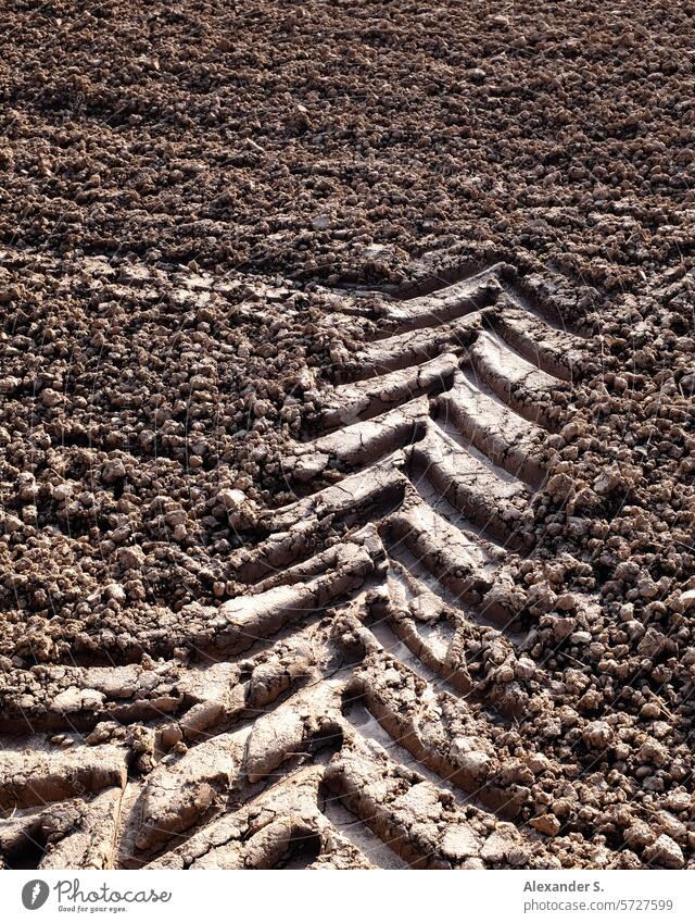 Traktorspur im Feld Spur Reifenspur Reifenprofil Acker Ackerbau Landwirtschaft Erde Boden Abdruck abstrakt Abstraktion Pfeil Spuren Strukturen & Formen braun