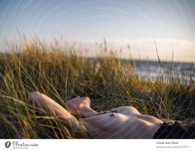 In diesen goldenen Dünen genießt ein wunderschönes Oben-ohne-Mädchen ihren Urlaub. Eine nackte Göttin mit ihren sexy Kurven in einer goldenen Stunde. Romantische Geschichten am Meer mit einer nackten Schönheit.