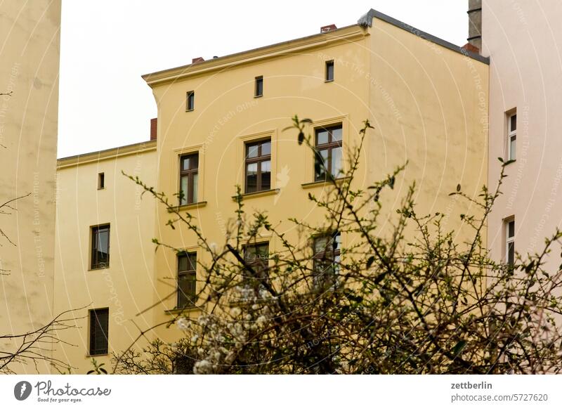 Wohnhaus in Schöneberg altbau außen brandmauer fassade fenster himmel hinterhaus hinterhof innenhof innenstadt kiez mehrfamilienhaus menschenleer mietshaus