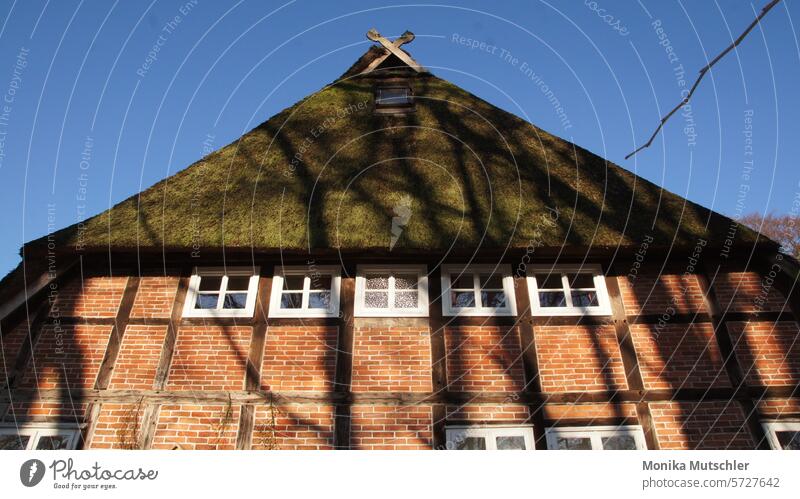 Haus mit Reetdach Gebäude Architektur Fenster Fassade Mauer Bauwerk Außenaufnahme Wand Farbfoto Himmel Tag Dach Giebel Giebelseite Pferdeköpfe Pferdekopf