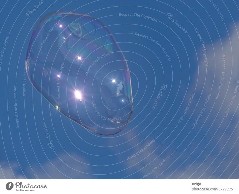 Eine Seifenblase im blauem Himmel himmel Seifenblasen blauer durchsichtig durchsichtigkeit leichtigkeit glänzend schweben freude fliegen träumen träumend