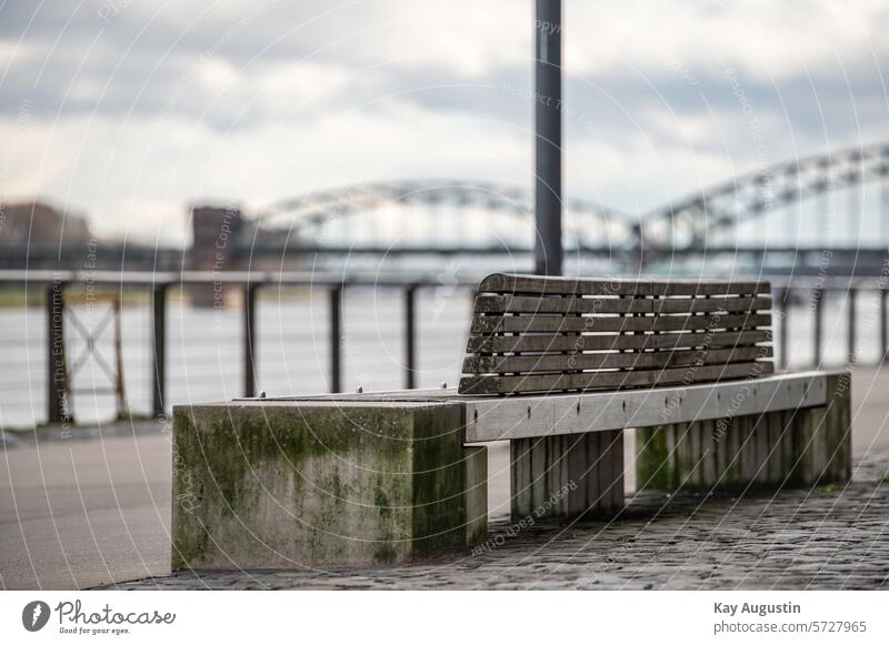 Am Rheinufer Sitzbank Aussicht Promenade Ruheplatz Südbrücke Rhein Lage Hafen Bereich Brücken Rheinbrücken Bank Fluss Rheinauhafen Absperrung Gitter material