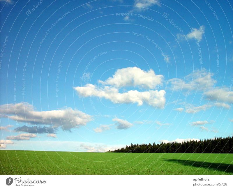 steinwald2 Mai Blauer Himmel Wolken Wiese Wald