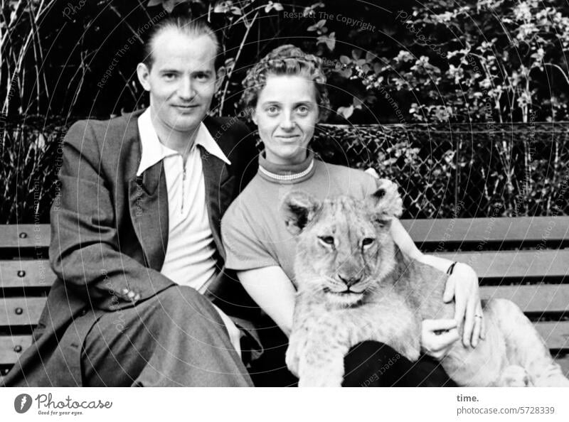 Kuschelgruppe Mann Frau Paar Tier Löwenbaby Bank sitzen Blick in die Kamera schauen chillen Anzug Tierliebe halten Katze Raubtier Vertrauen Zuneigung