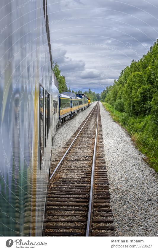 Zug auf den Gleisen zum Denali-Nationalpark, Alaska USA Landschaft reisen im Freien Transport Verkehr Natur Eisenbahn denali Tourismus Wald Denali National Park