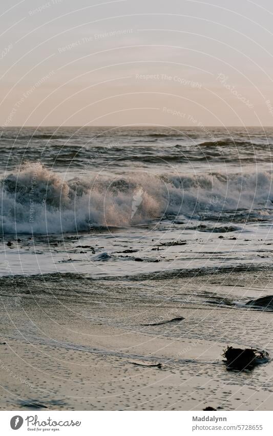 Schöne landschaftliche Fotografie einer Welle auf den Strand fallen einen schönen Sonnenuntergang Himmel Meer Sand Ferien & Urlaub & Reisen Strandleben