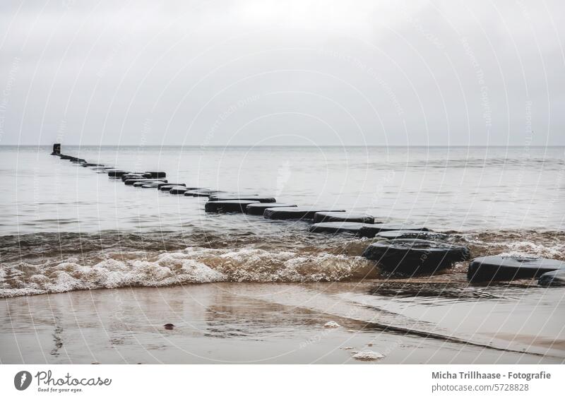 Buhnen am Ostseestrand Insel Usedom Zempin Meer Wasser Wellen Horizont Himmel Wolken Landschaft Natur Mecklenburg-Vorpommern Ferien & Urlaub & Reisen Tourismus